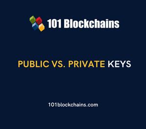 Public vs. Private Keys: